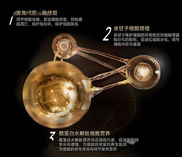 ic外汇官方网址精准服务处理难题 促进公司高质量推动
